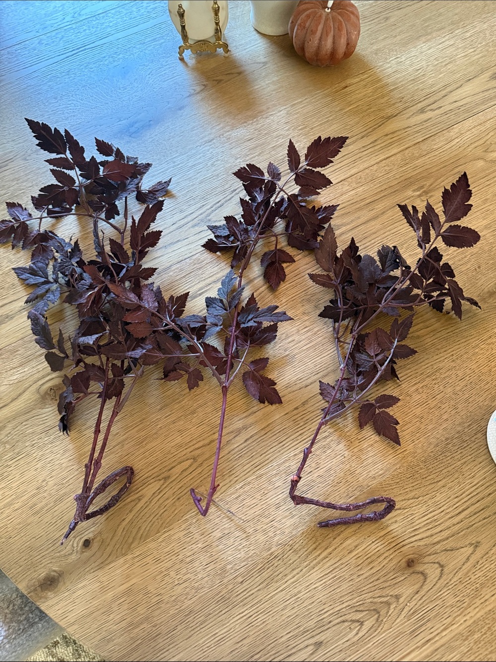 Home Accents Faux Burgundy Foliage Spray - Set of 3